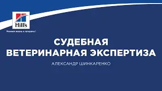 Вебинар на тему: 