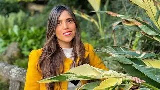 Le biomimétisme avec Aïna Queiroz - teasing visioconférence