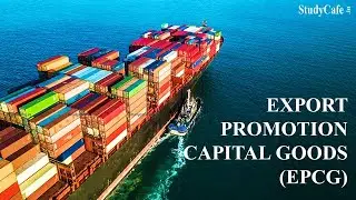 What is Import EPCG license