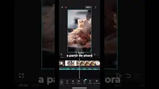 Editá en CAPCUT al ritmo de la música