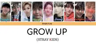 STRAY KIDS - GROW UP (COLOR CODED ENG/ROM/HAN)
