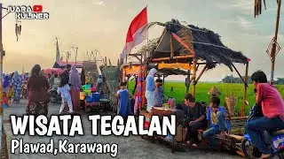 VIRAL! WISATA BARU DI PLAWAD KARAWANG | WISATA TEGALAN KARAWANG