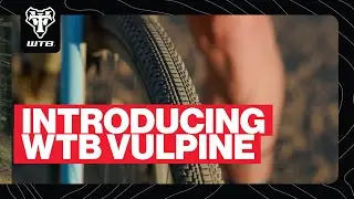 Introducing WTB Vulpine