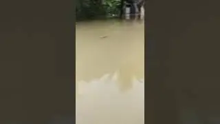banjir Aceh Tamiang banjir besar 2 nov