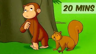 Curious George | George Sees the Light! | 20 Minutes | Mini Moments
