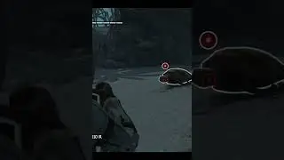 Assassins Creed 4 Black Flag - яд берсерка на черепахе