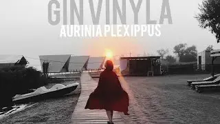 Dj Gin Vinyla - Aurinia Plexippus (Original)/Progressive House/Release 2022.07.10