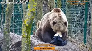 Папаня пришёл