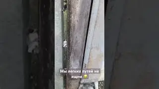 Ник легких путей не ищет. И в щель протиснется 😂👍🏻