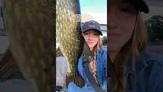 What you notice, is what makes life what it is 🤍 #solocamping #angler #fishing #pikefishing #pike