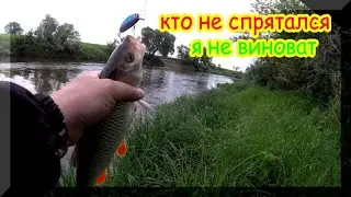 Вот я и нашел вас - "ЛОБАСТЫЕ". Ловля ГОЛАВЛЯ на спиннинг.