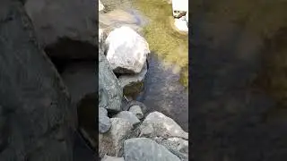 Тройной Водопад в парке Краснодар (Галицкого) в японском саду