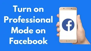 How to Turn on Professional Mode on Facebook (2024)