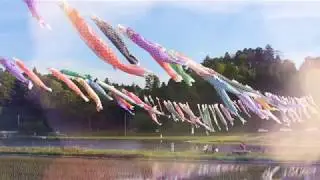 KOINOBORI Japanese Culture and Tradition