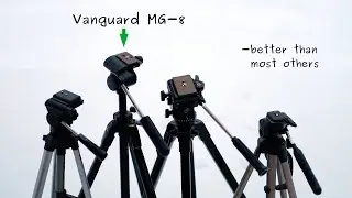 Vanguard MG-8 - probably a great tripod for you!