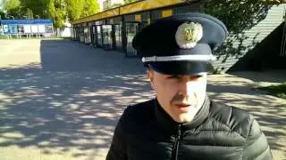 Ночные бабочки.