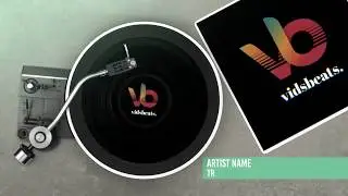 Modern Vinyl Visualizer (Create music visualizer with vidsbeats.)