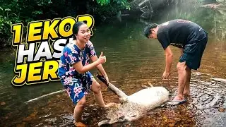 Wife's windfall: Harvested a wild boar caught in a snare in the Kalimantan forest !!! Instant muk...