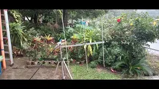 3 Elements yagi freshly built (140-150Mhz)