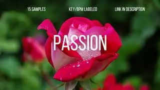 [Free] RnB Sample Pack - 