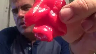 Red Moruga x Sweet Bell Pepper Cross Review Sent by Drew Kuchera