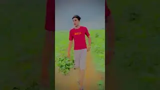 Mewati❤️ #aslam_singer_mewati #mewatifolksong #mewatigaana #mewatimusic #mewatisong