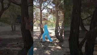 Упражнение из комплекса Великий танец Да Ву для нормализации веса