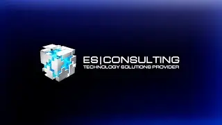 ES CONSULTING Company Profile