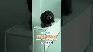讓我們頭痛的寶貝女兒Luna!