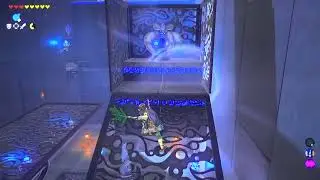 BotW