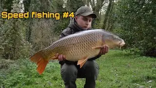 Pêche à la carpe en étang **Speed fishing #4**