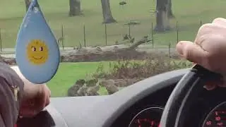 Our time at the safari park!
