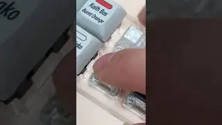 King of the Box Clicky Switches