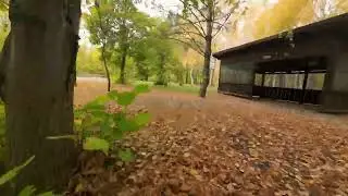 Парк 