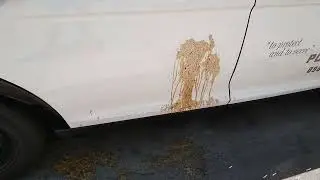 FUCK THE POLICE 🚔 SHITTIN ON EM