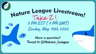 Livestream Try Again (5-10-2020)!