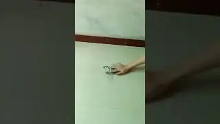 3d rangoli art.