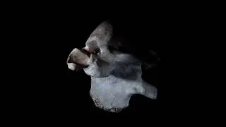 MARIA COMA - Vocal Roots