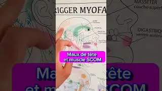 Mal de tête musculaire ( Muscle SCOM)