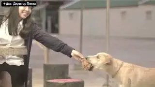 Стебный ролик-пародия тайской рекламы на... тайскую рекламу!
