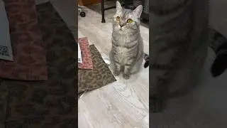 Вторая жизнь обоев #ресайкл #шитье  #ручная_работа