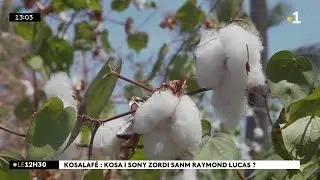 Kosalafé ! Kosa i sony kwé ? Nout naturaliste i di anou toute su koton!
