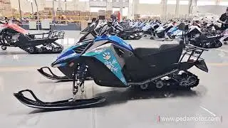 PEDA MOTOR ITALY Top 10 models （SM200 ）