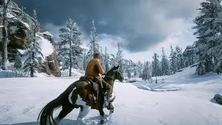 RDR2 Realistic Graphics Gameplay with Best ReShade Preset [4K] RTX