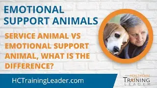 Service Animal vs Emotional Support Animal: What is the Difference?