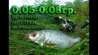 ВЕЧЕРНИЙ ÅНГСТРЕМ МОРМЫШИНГ 0.05-0.08гр.