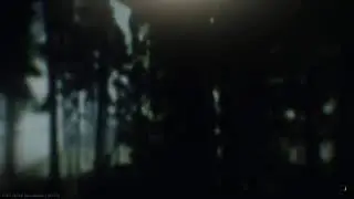 escape from tarkov