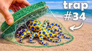 I Dropped 100 Fish Traps, Here’s What I Found…