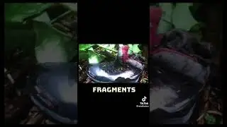 Real stories that sound like a horror film part one