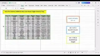 Auto fit Columns Width & Row and Rows height shortcut key #exceltricks